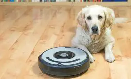 Best Bagless Vacuum for Pet Hair (Updated for 2023)