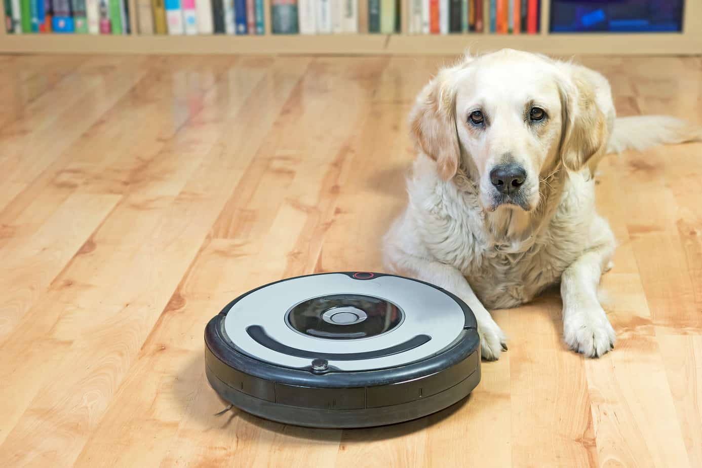 You are currently viewing Best Bagless Vacuum for Pet Hair (Updated for 2023)