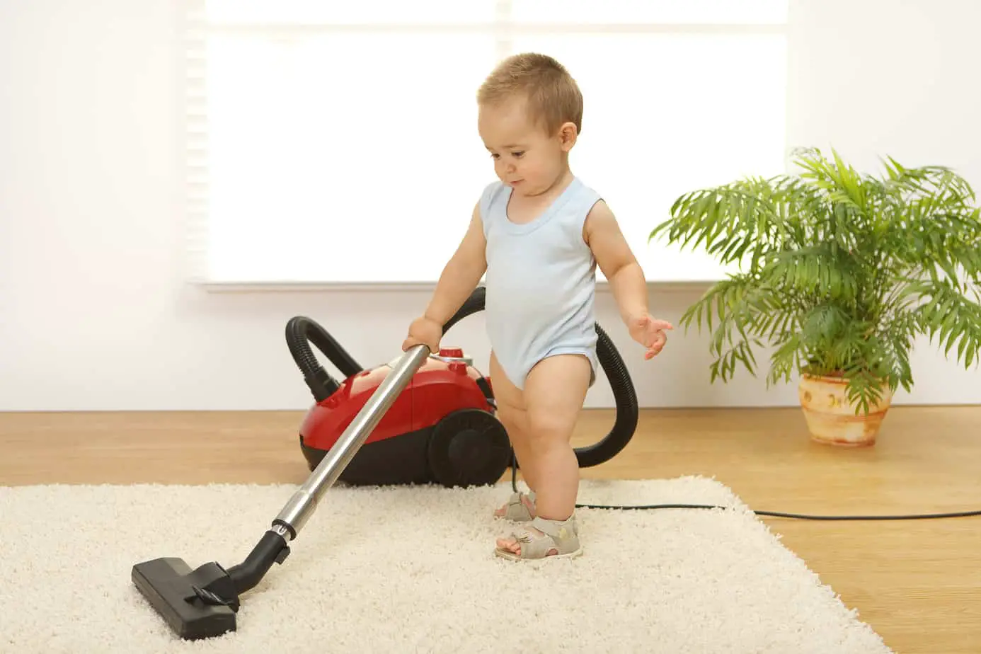 You are currently viewing 3 Points to Consider When Choosing a Vacuum Cleaner