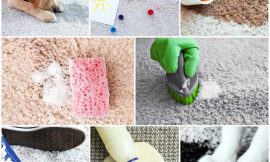 Keeping Your Carpet Clean From Spills