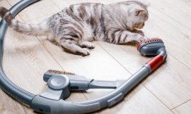 Best Canister Vacuums for Pet Hair (Updated for 2020)