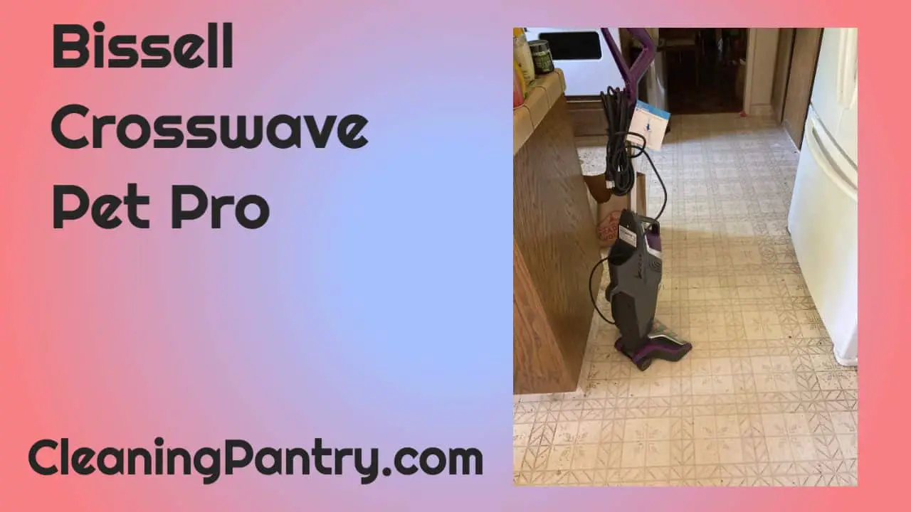 You are currently viewing Bissell Crosswave Pet Pro Review – With A Cat Judging
