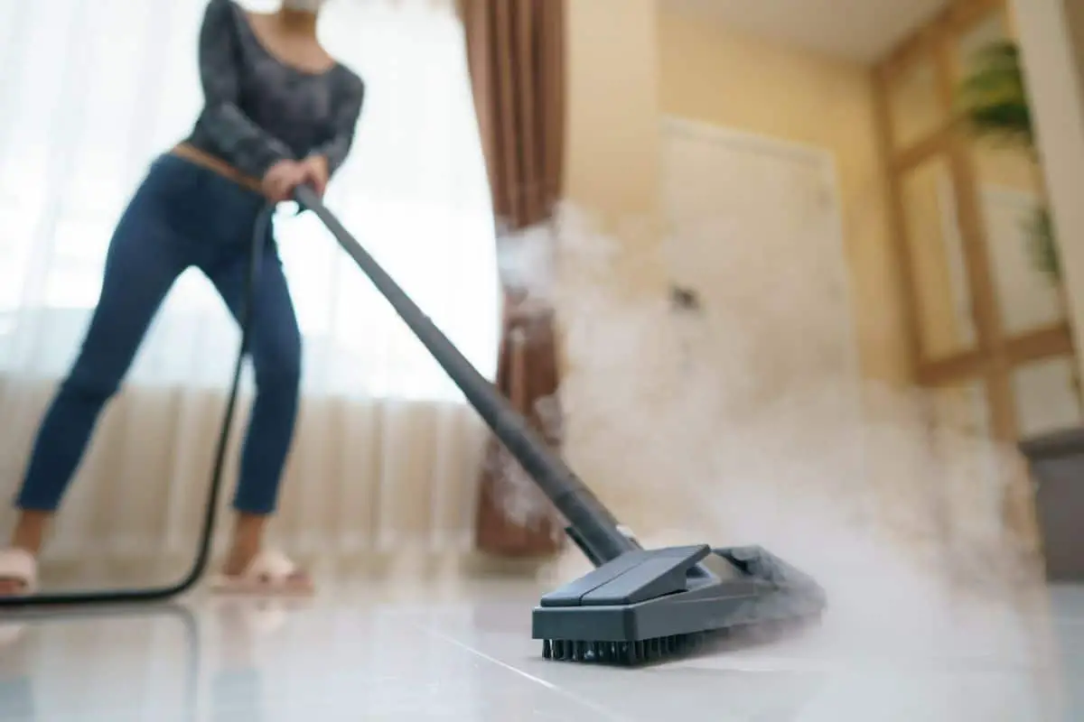 Read more about the article Learn How to Choose a Steam Mop That’s Best for You
